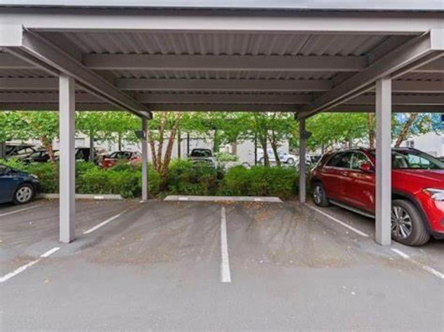 Masvacation La Rosaleda 3Room,Parking Playa del Inglés Eksteriør billede